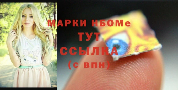 apvp Билибино