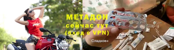 ешки Болотное