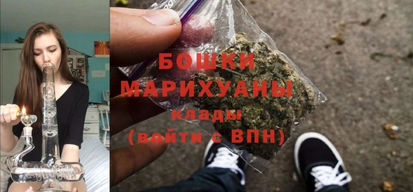 прущая мука Няндома