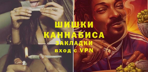 сатива Беслан