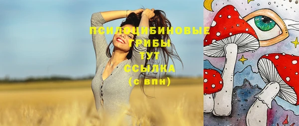 прущая мука Няндома